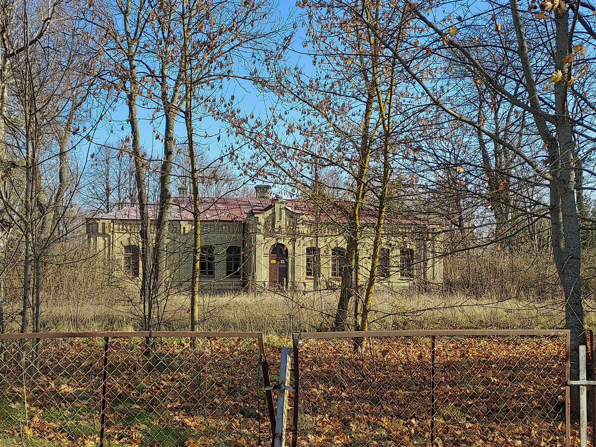 01-29.jpg
