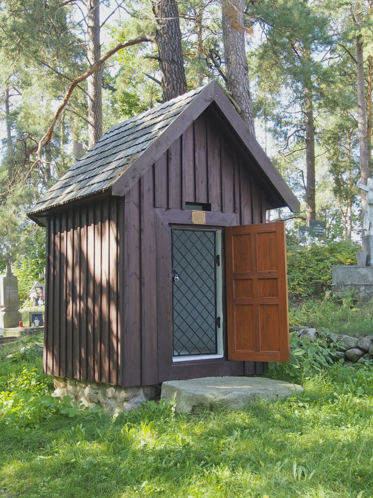 Miniatura 6