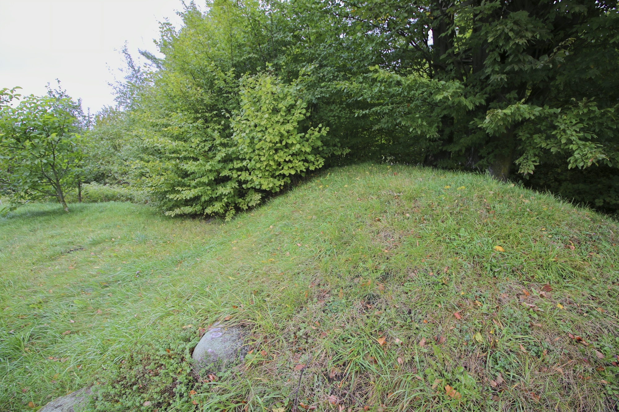 1-Grodziszczny-C.Sobczak.jpg