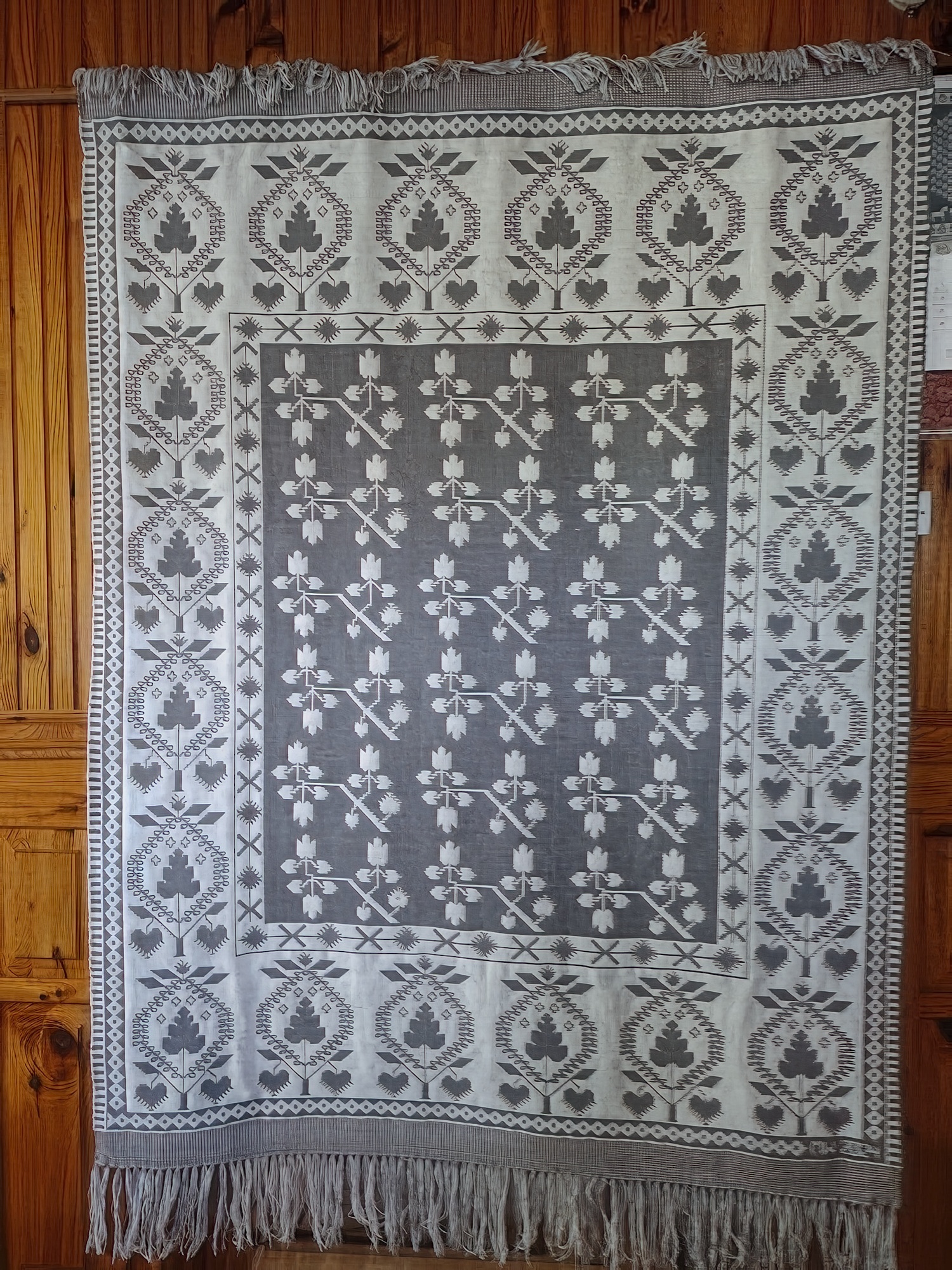 1000020781-Resize.jpg 1000020781-Resize.jpg