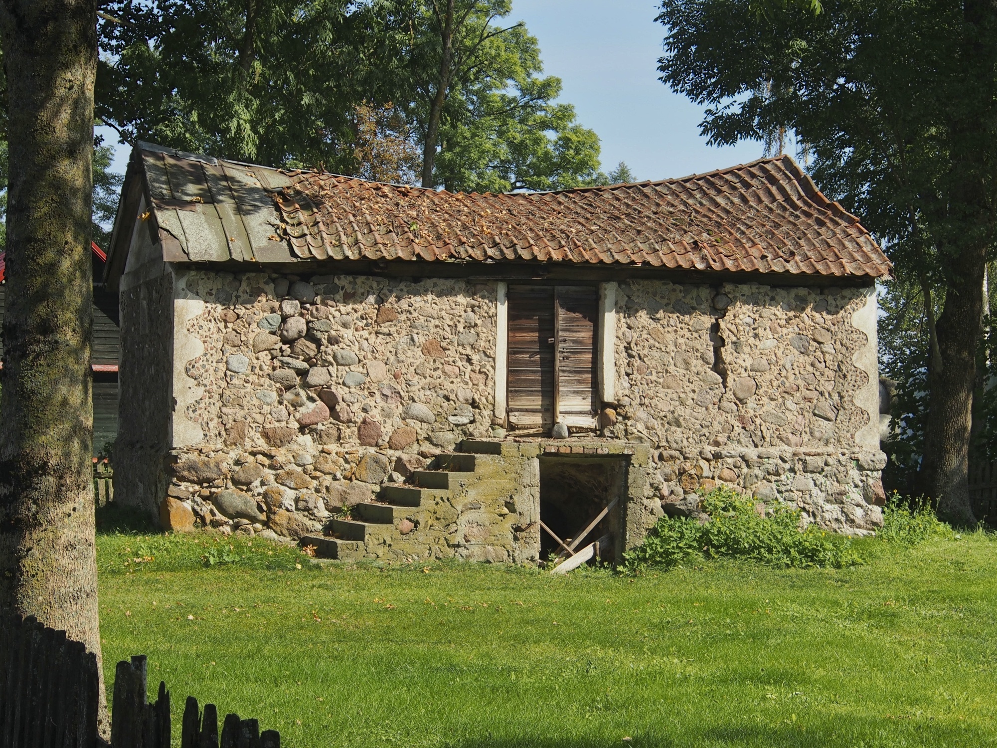 Miniatura 13