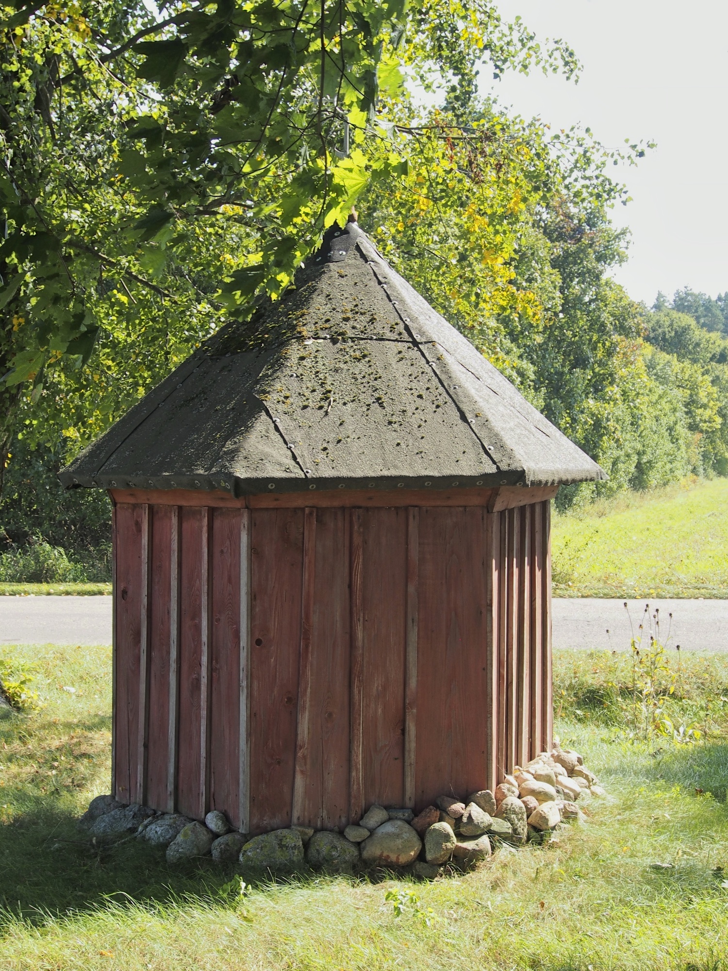 Miniatura 17