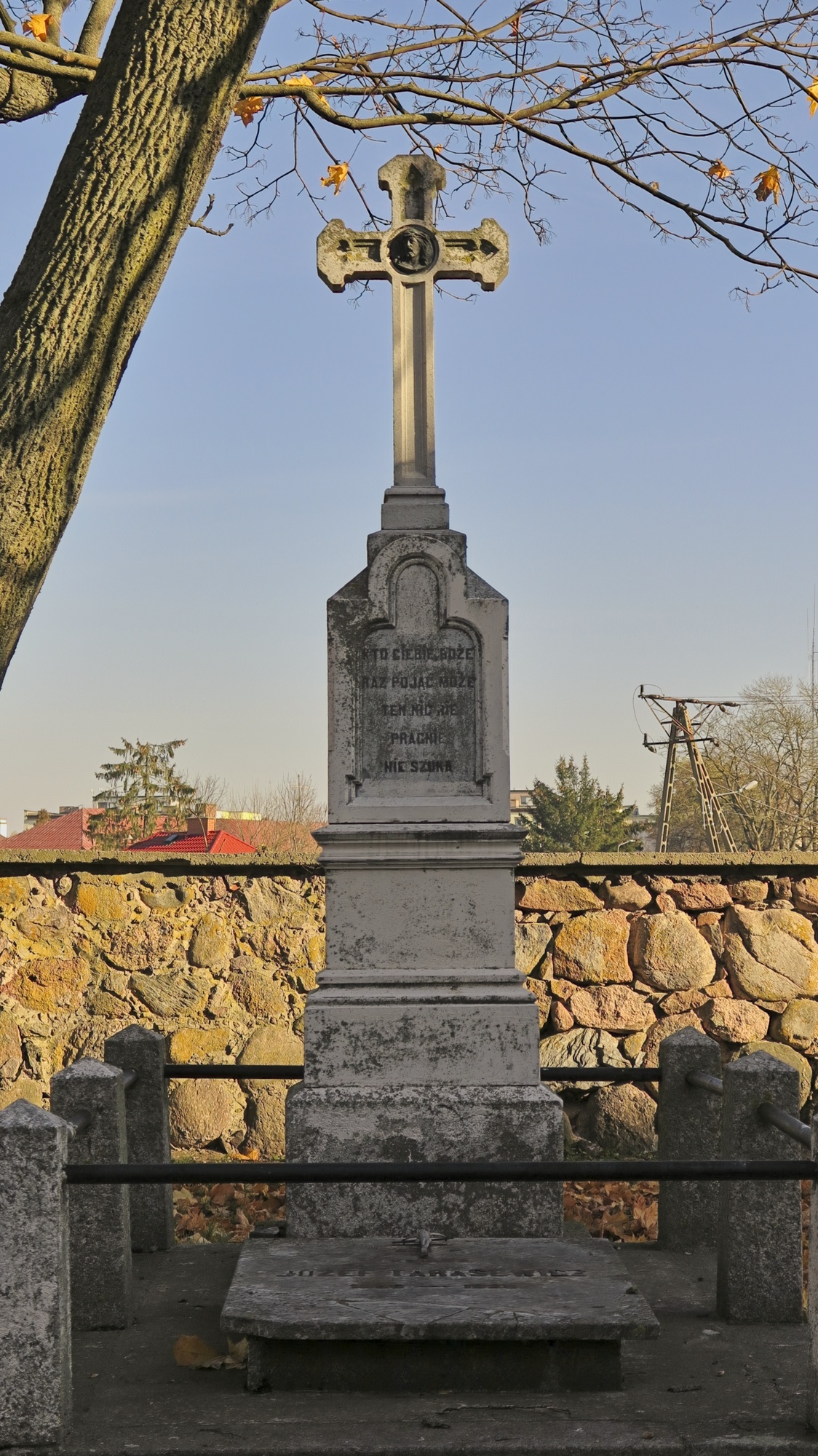 Miniatura 10