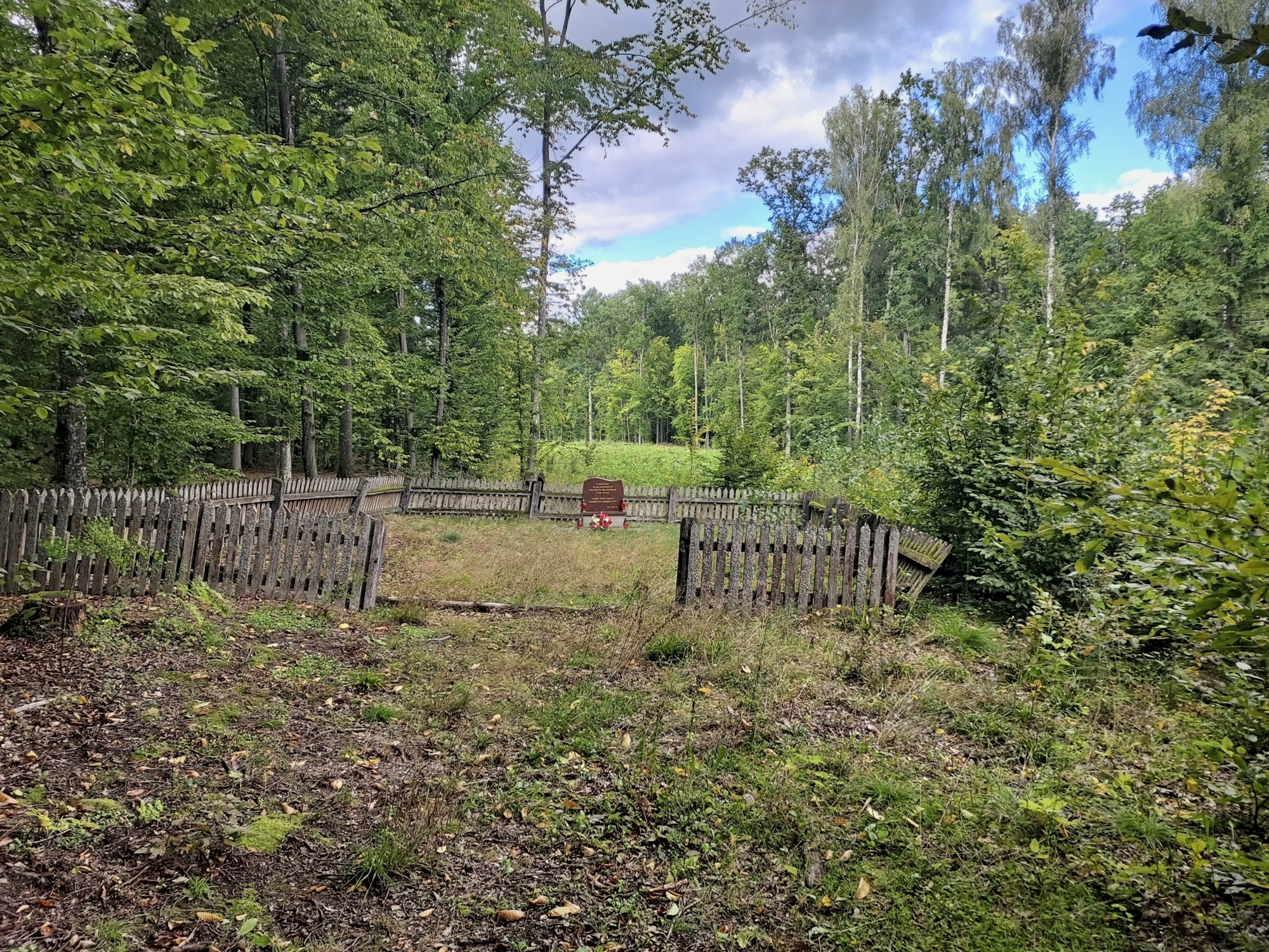 20210904_141018.jpg