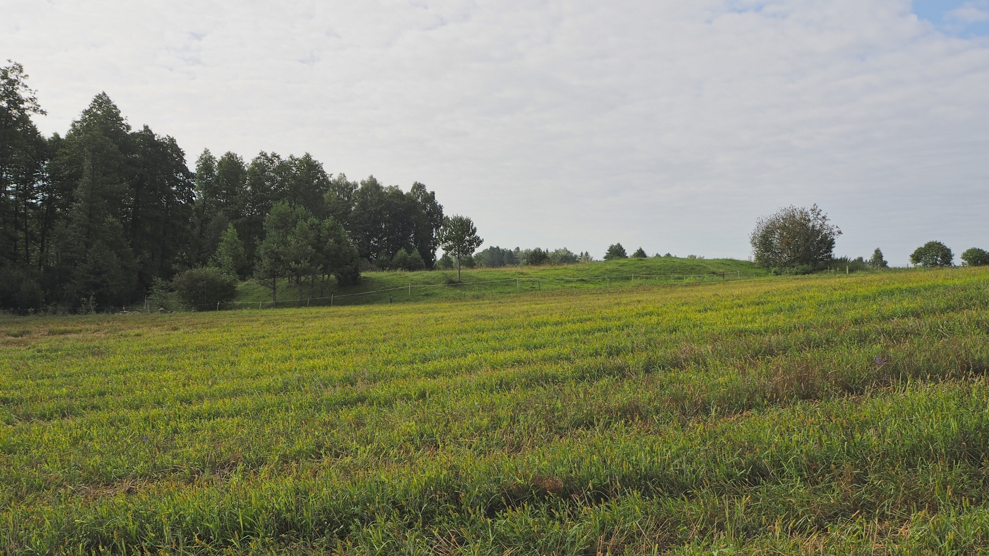 3-Trzcianka-K.Piasecka.jpg 3-Trzcianka-K.Piasecka.jpg